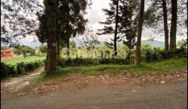 LEMBANG, TANAH LUAS COCOK UNTUK VILLA DENGAN VIEW CANTIK DI KOTA BANDUNG LEMBANG, TANAH LUAS COCOK UNTUK VILLA DENGAN VIEW CANTIK DI KOTA BANDUNG