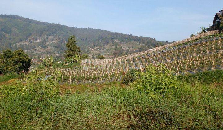 Cikole, Lembang. Tanah Luas Dengan View Cantik Di Bandung 2