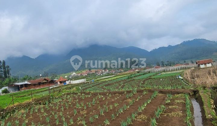 Hot Deal!!! Tanah Kebun di Jl Situ Kuluwing, Batu Kapur, Ciwidey, Soreang, Bandung Hot Deal!!! Tanah Kebun di Jl Situ Kuluwing, Batu Kapur, Ciwidey, Soreang, Bandung