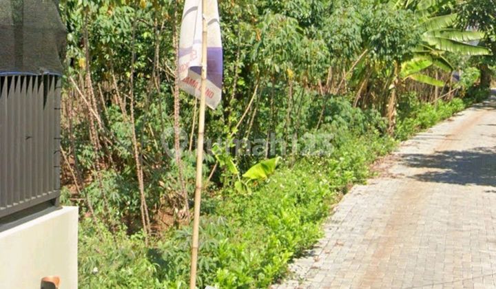 Tanah Cocok Untuk Dibangun Kos Di Tembalang 1