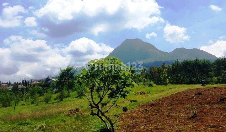 Tanah Luas Hook di Sisir Kota Batu 2