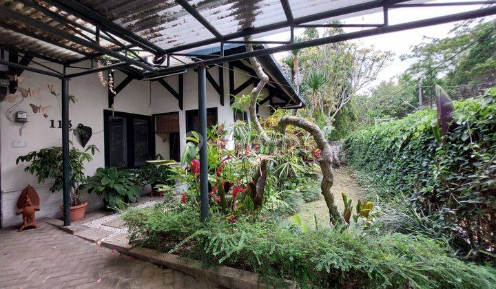 Rumah Minimalis Full Furnished di Bukit Cemara Tujuh Tlogomas 2