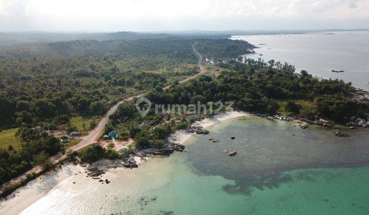 Tanah Luas Dijual di Pulau Bintan Kepulauan Riau 1