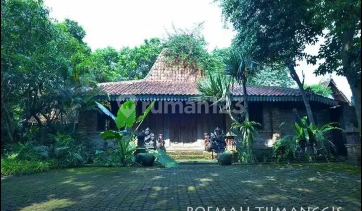 Rumah Joglo Area Depok Lingkungan Tenang Nyaman Dan Asri