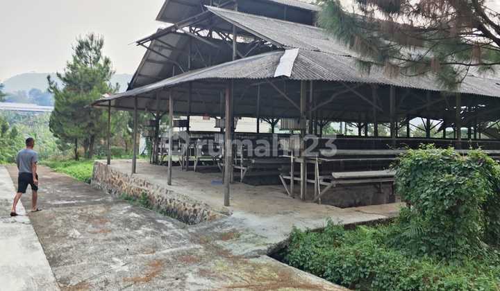Warehouse and Chicken Coop for Sale in Rumpin, Bogor, West Java. Warehouse and Chicken Coop for Sale in Rumpin, Bogor, West Java.