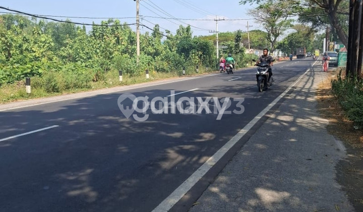 The industrial land is highly strategic at kilometer zero of the provincial road in Pasuruan. The industrial land is highly strategic at kilometer zero of the provincial road in Pasuruan.