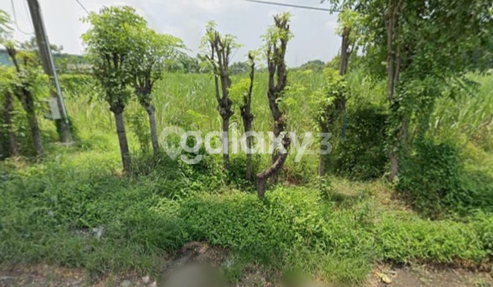 Zero industrial land is highly strategic in Pasuruan. Zero industrial land is highly strategic in Pasuruan.