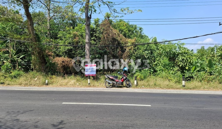 The industrial land is highly strategic at kilometer zero of the provincial road in Pasuruan. The industrial land is highly strategic at kilometer zero of the provincial road in Pasuruan.