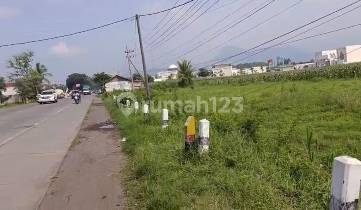 Tanah Nol Jalan Raya Pantura, Paiton Probolinggo Tanah Nol Jalan Raya Pantura, Paiton Probolinggo