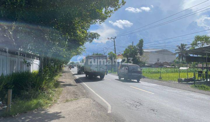 Gudang Tembakau Berlokasi Bagus Dengan Luas 1,9 Hektar di Lombok 2