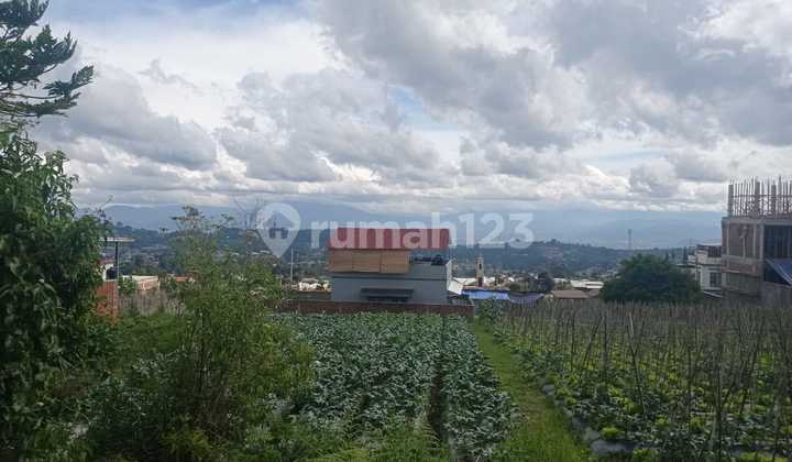 Tanah Siap Pakai Lembang 5