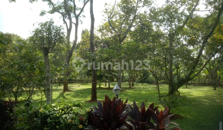 Tanah Bonus Rumah Cantik Terawat, Bonus Pohon Buah di Cariu,Jawa Barat