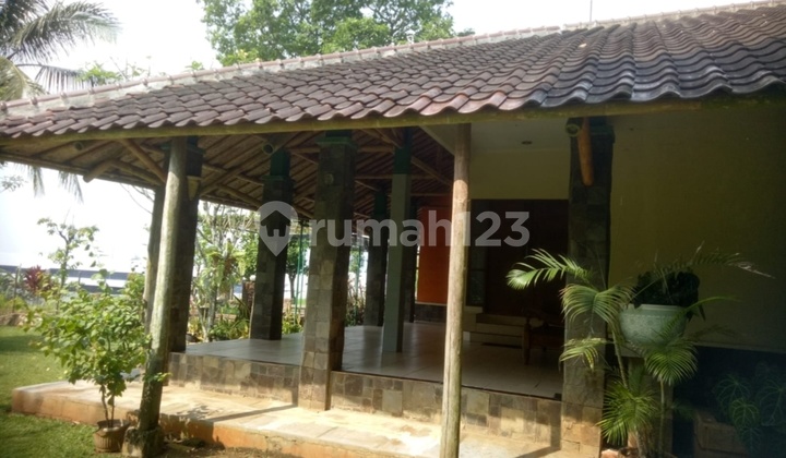 Tanah Bonus Rumah Cantik Terawat, Bonus Pohon Buah di Cariu,Jawa Barat