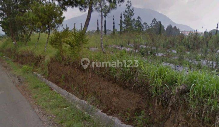 Dijual Tanah Cocok Untuk Villa Dan Resto Kopeng Salatiga Magelang 2