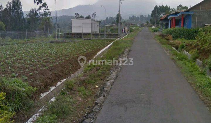 Dijual Tanah Cocok Untuk Villa Dan Resto Kopeng Salatiga Magelang 8