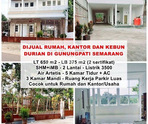 Dijual Rumah Kantor Dan Kebun Durian di Gunungpati Semarang  1