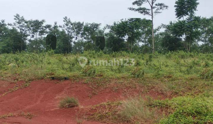 Dijual Tanah Industri Jl Sendang Tulis Batang Jawa Tengah 8