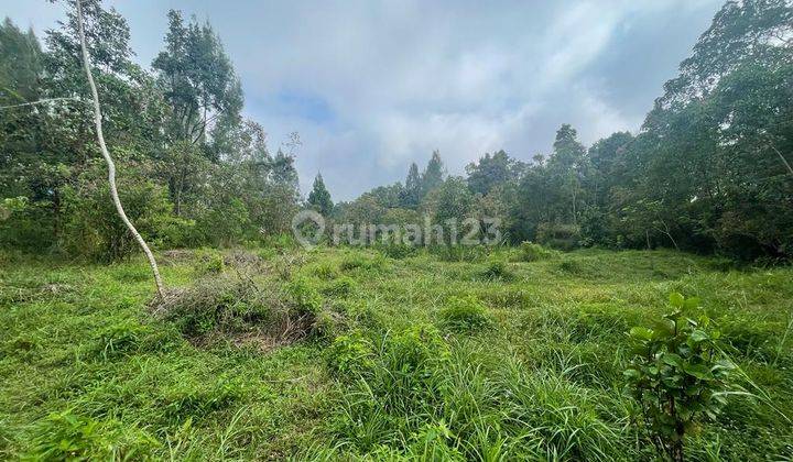 Dijual Tanah di Getasan Dekat Wisata Glamping Kopeng Salatiga 2