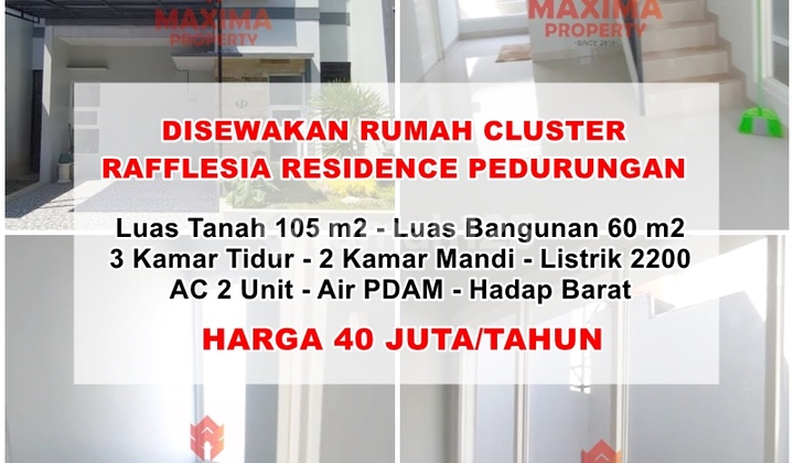 Disewakan Rumah Cluster Rafflesia Woltermonginsidi Pedurungan Semarang Disewakan Rumah Cluster Rafflesia Woltermonginsidi Pedurungan Semarang