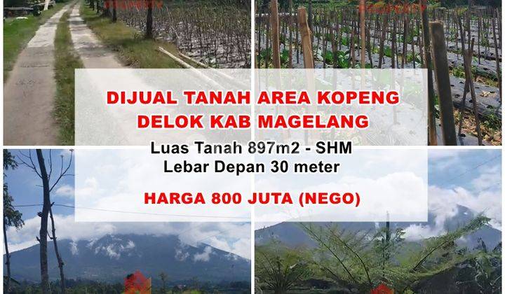 Dijual Tanah Area Kopeng Ds Delok Kab Magelang 1