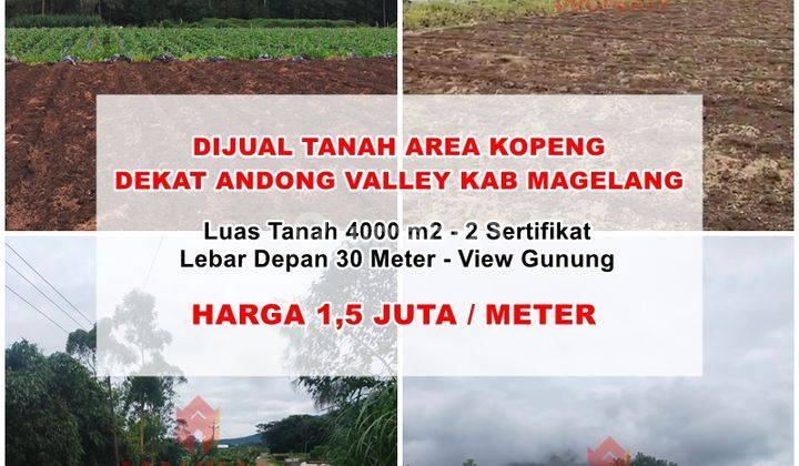 Dijual Tanah Area Kopeng Dekat Andong Valley Kab Magelang 1