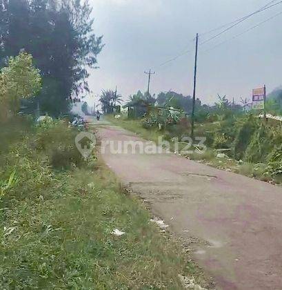 Dijual Tanah Area Kopeng Lokasi Ds Banaran Ngablak Kab Magelang 2