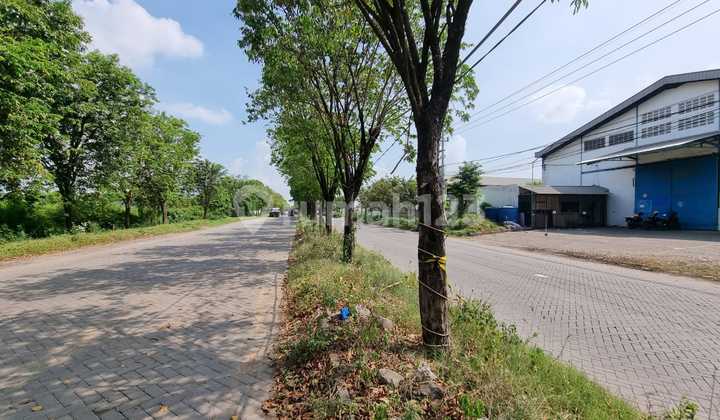 Lahan Pabrik Harga Di Kawasan Industri Maspion Manyar Gresik Lahan Pabrik Harga Di Kawasan Industri Maspion Manyar Gresik