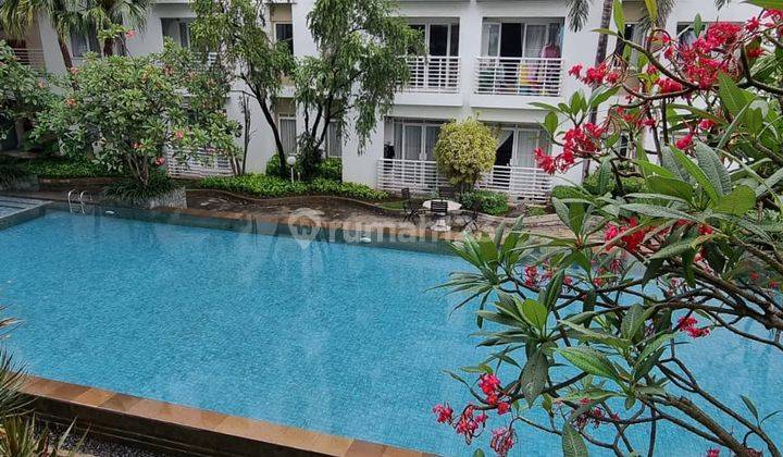 Apartemen Cosmopolis Surabaya Harga Terjangkau Rasa Resort Bali 1