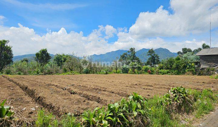 Tanah Kebun Di Tulungrejo Dekat Selecta Batu View Pegunungan 1