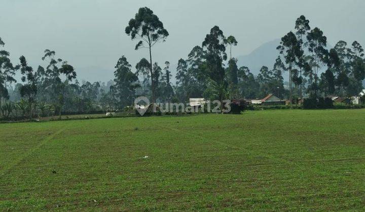 Tanah Padat 3,5Ha Harga Menarik Di Pangalengan Bandung  1