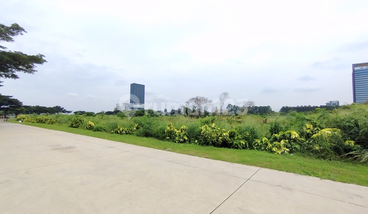 Large Plot of Land 5ha in a Super Strategic Location, No Joke, Opposite Alam Sutera Mall and Jakarta Premium Outlet. Ideal for Building Office Towers, SOHO, Apartments, or Other Commercial Business Areas. Large Plot of Land 5ha in a Super Strategic Location, No Joke, Opposite Alam Sutera Mall and Jakarta Premium Outlet. Ideal for Building Office Towers, SOHO, Apartments, or Other Commercial Business Areas.