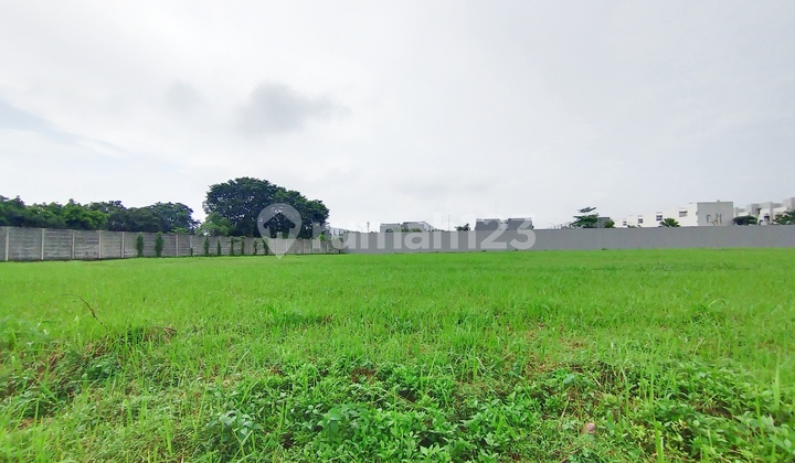 Tanah Kavling Komersial 5181M2 Ideal untuk Bisnis di BSD Tabebuya Jalan Ramai Dekat Grandlucky Tanah Kavling Komersial 5181M2 Ideal untuk Bisnis di BSD Tabebuya Jalan Ramai Dekat Grandlucky