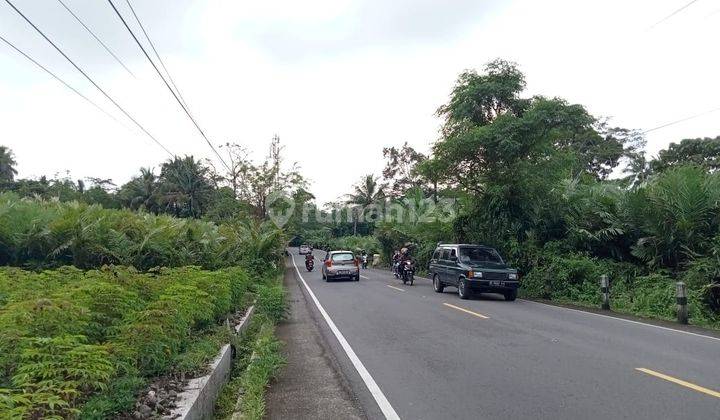 Tanah Pinggir Jalan Utama Turi Tempel Kawasan Bisnis 6