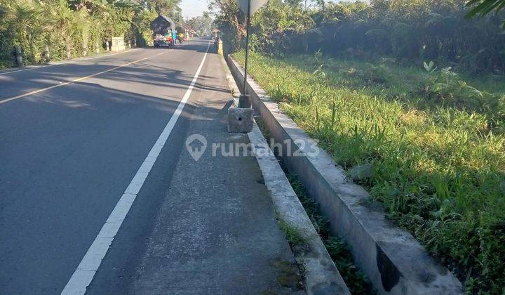 Tanah Pinggir Jalan Utama Tempel Turi Harga 2 Jutaan 6
