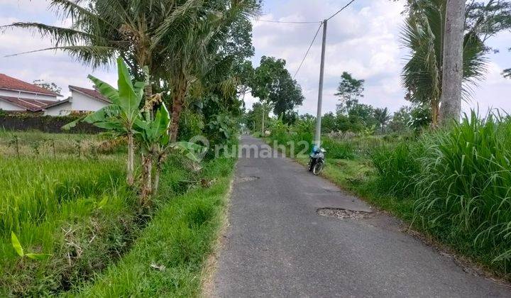 Dijual Tanah Pinggir Jalan Aspal di Pendowo Dekat Pabrik Sgi 1