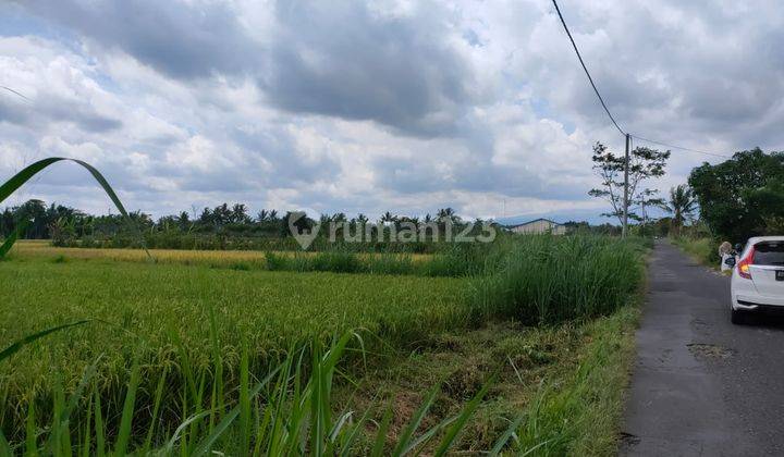 Dijual Tanah Pinggir Jalan Aspal di Pendowo Dekat Pabrik Sgi 6
