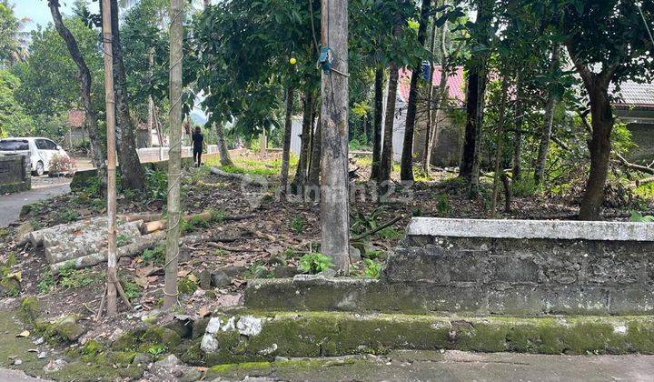 Dijual Tanah Pekarangan di Jalan Magelang Dekat Rsud Sleman 1