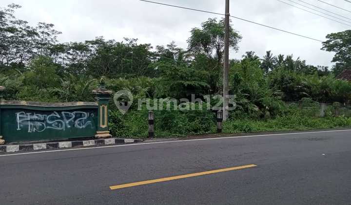 Tanah Luas Pinggir Jalan Turi Tempel Cocok Untuk Usaha 6