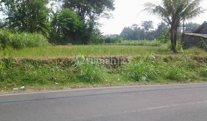 Tanah Pekarangan Strategis Dekat Pemancingan Kadisoka 3 Jutaan  4
