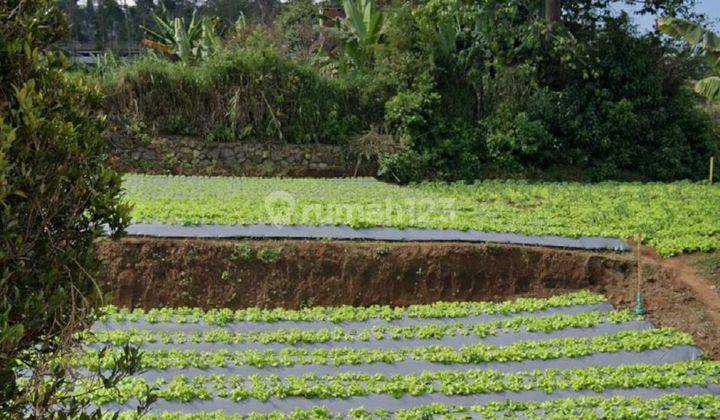 Tanah di Lembang, Bandung SHM 1