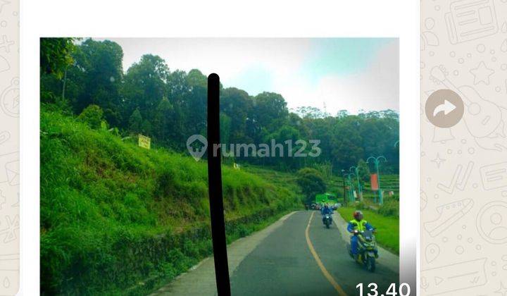 Kavling di Mainroad Ciwidey untuk Hotel,Resto ,Spbu Ciwidey Bandung 1
