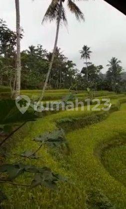 Tanah di Cikalongwetan, Bandung Barat 1
