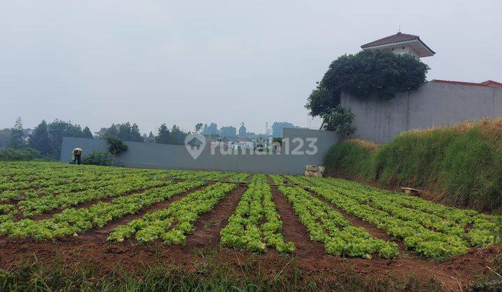 Tanah di Setiabudi Regency, Bandung SHM 1