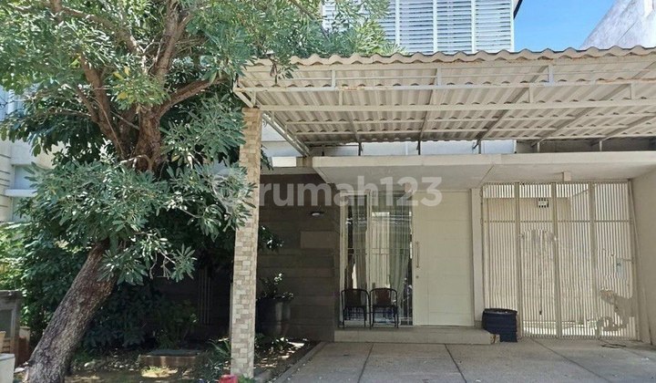 Cheapest Pakuwon City Palm Beach Near Grand Island San Antonio Aruba