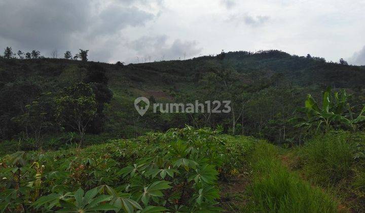 Tanah Satu Hamparan View Bagus, Datar di Sukabumi. 20420  1