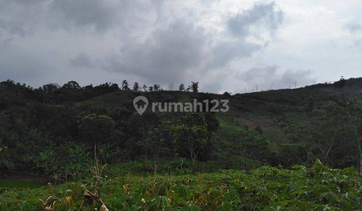 Ga20420 Tanah Satu Hamparan View Bagus, Datar di Sukabumi 4