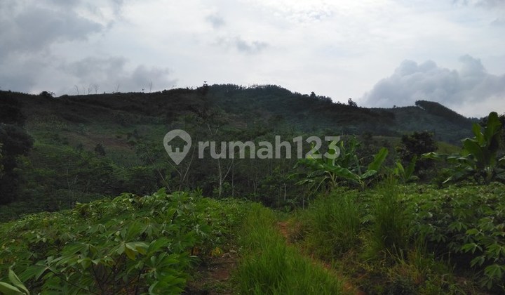 Ga20420 Tanah Satu Hamparan View Bagus, Datar di Sukabumi 5