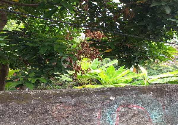 Tanah Siap Bangun, Lokasi Strategis, Harga Nego di Ciledug Ga15849 3
