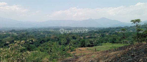 Tanah Cck Utk Komersil, Villa, Kebun, Tepi Jalan di Bogor, 15830 2