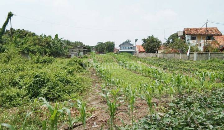 Tanah Dijual Eks Pabrik, Sawah, Dkt Toll di Kerawang Timur. 20267 1